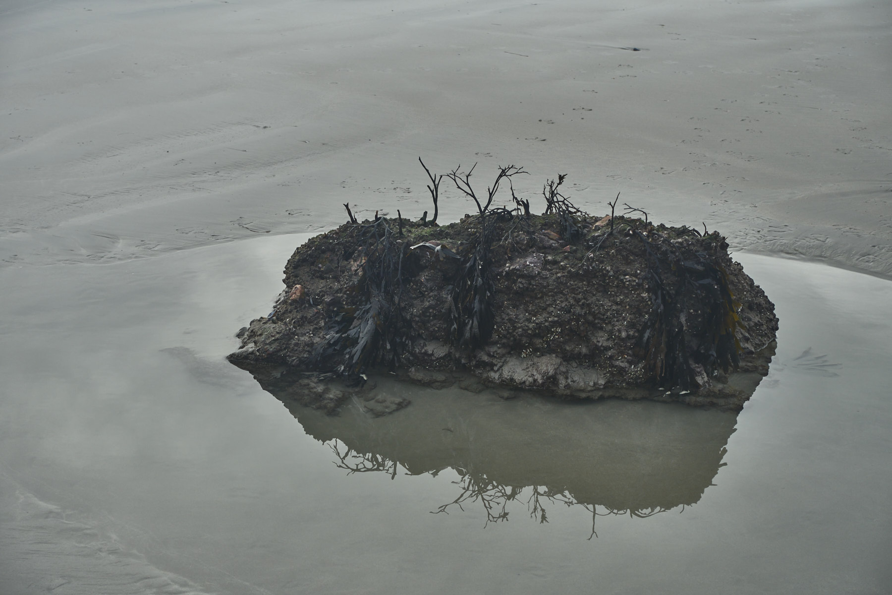 Bretagne 23 12 26 153