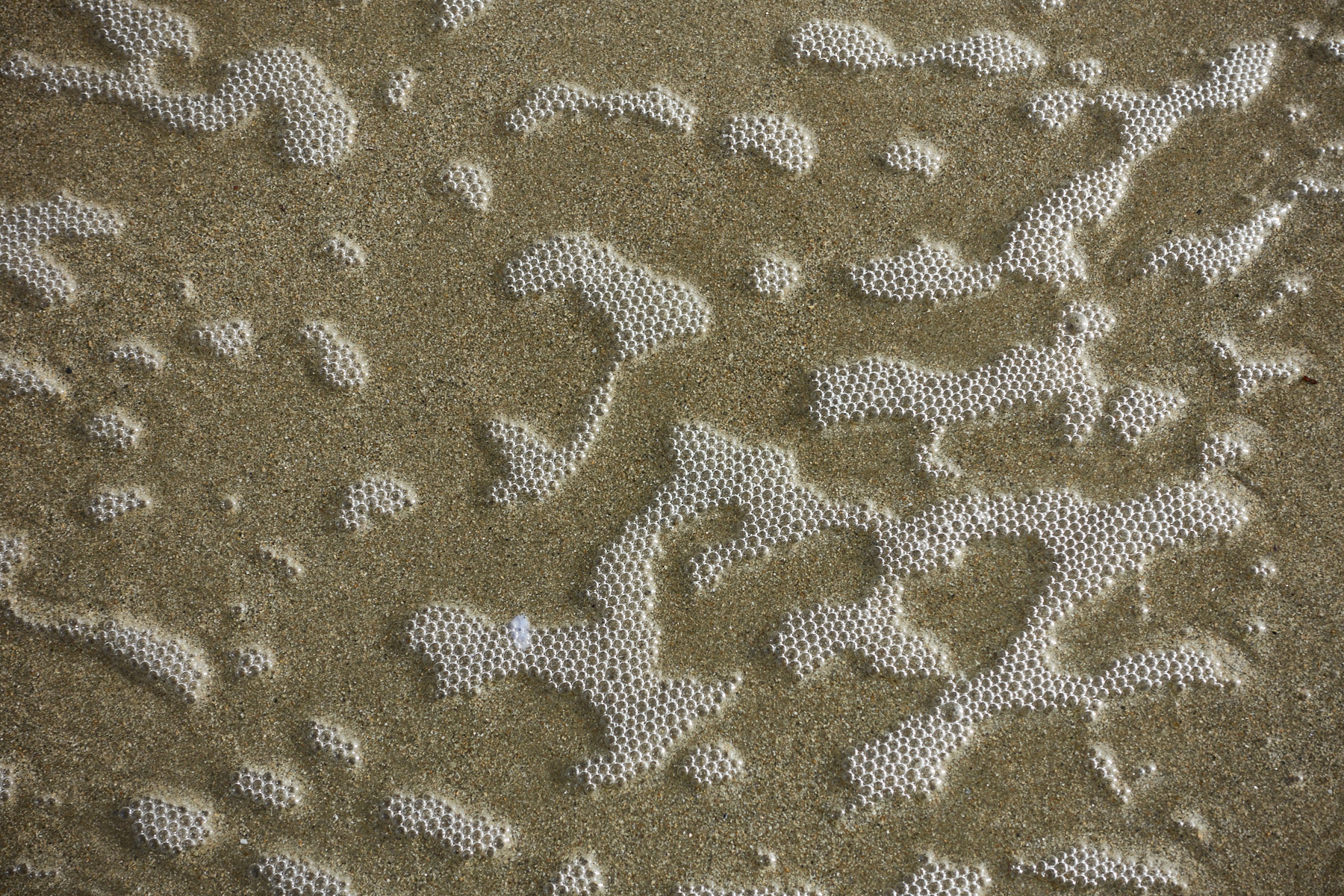 Bretagne 23 12 31 231