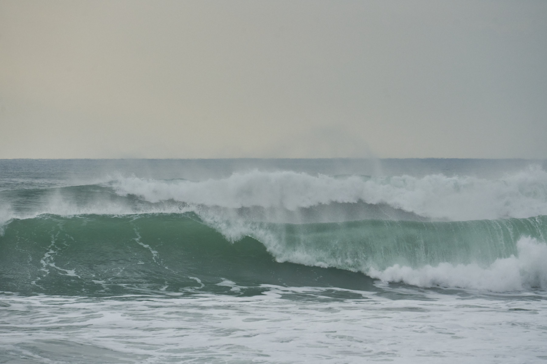 Bretagne 24 01 09 286