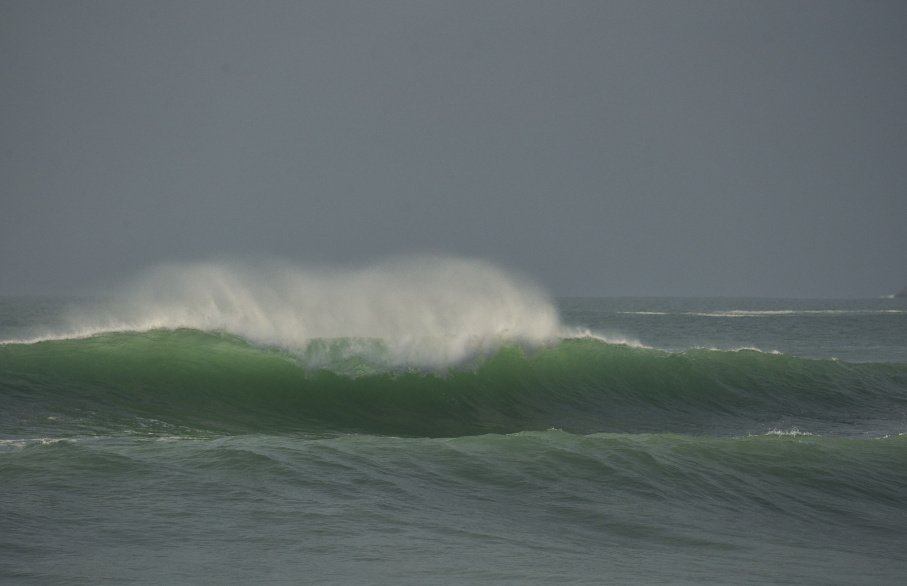 Bretagne 24 01 09 291