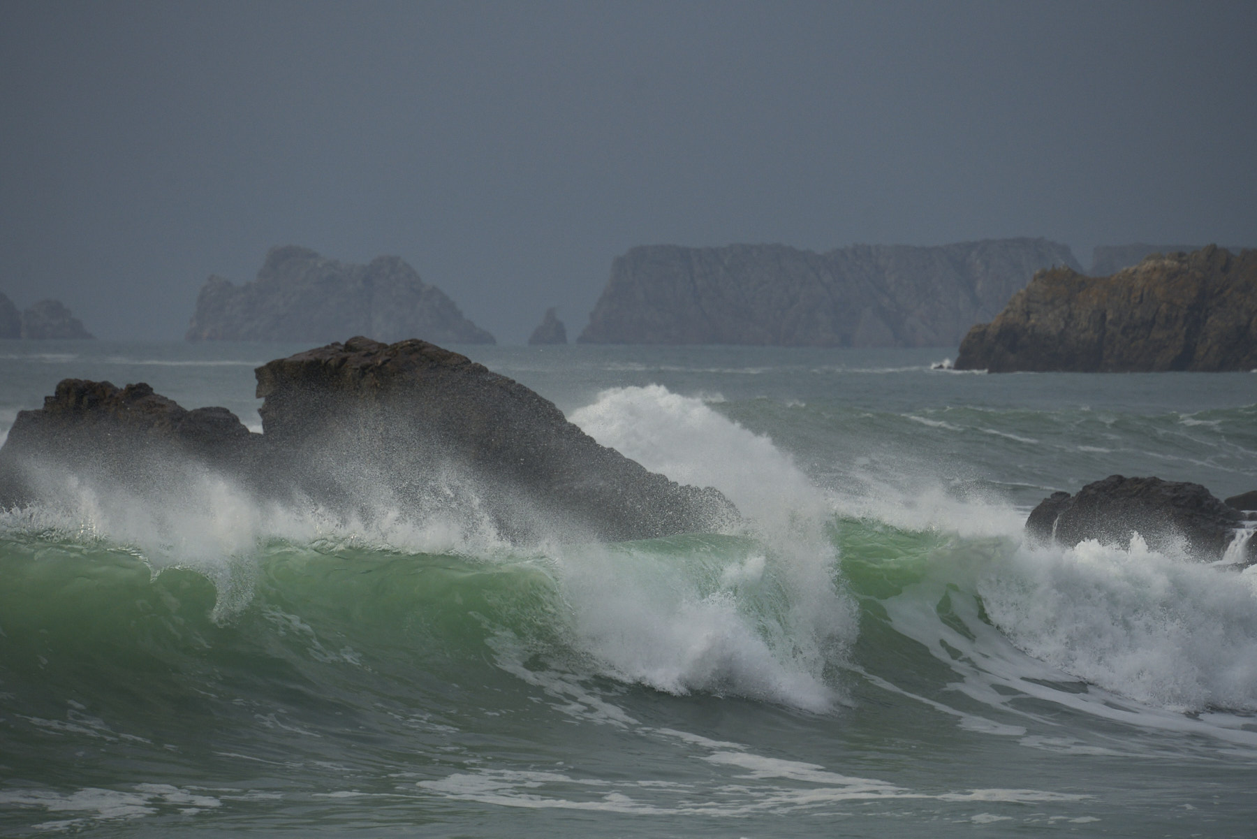 Bretagne 24 01 09 294