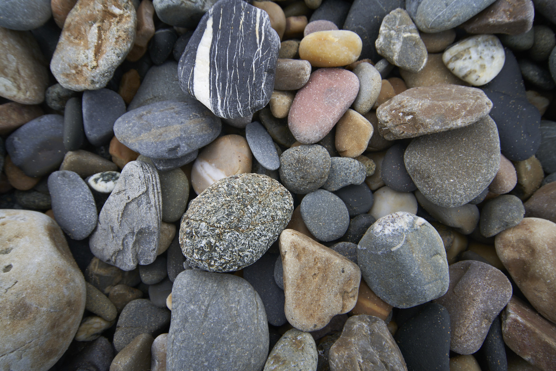 Bretagne 24 01 12 371