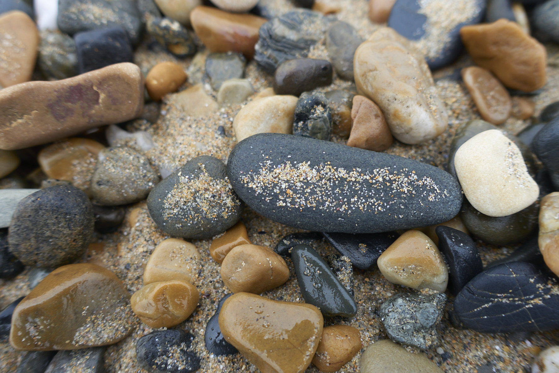 Bretagne 24 01 12 377