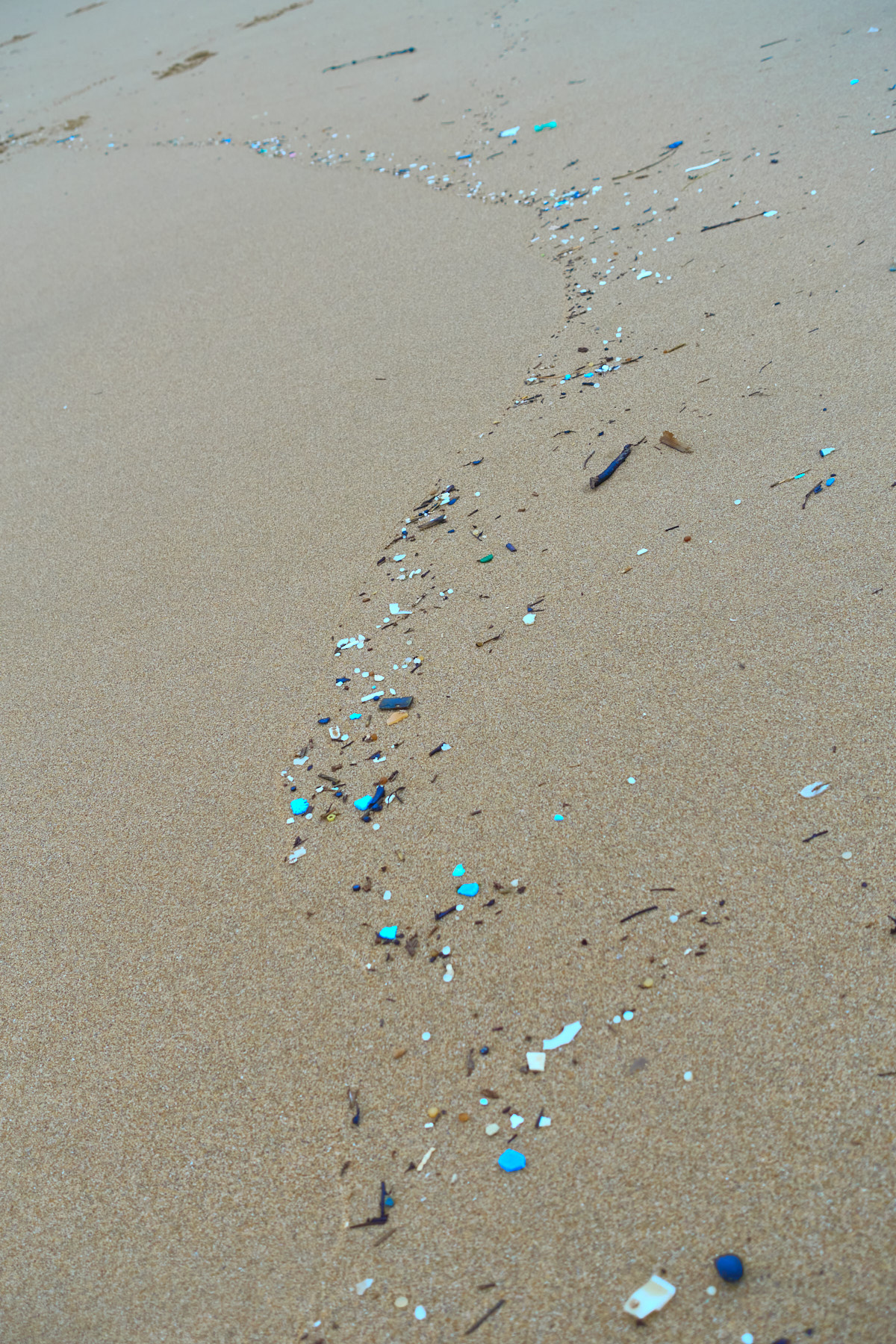 Bretagne 24 01 12 379