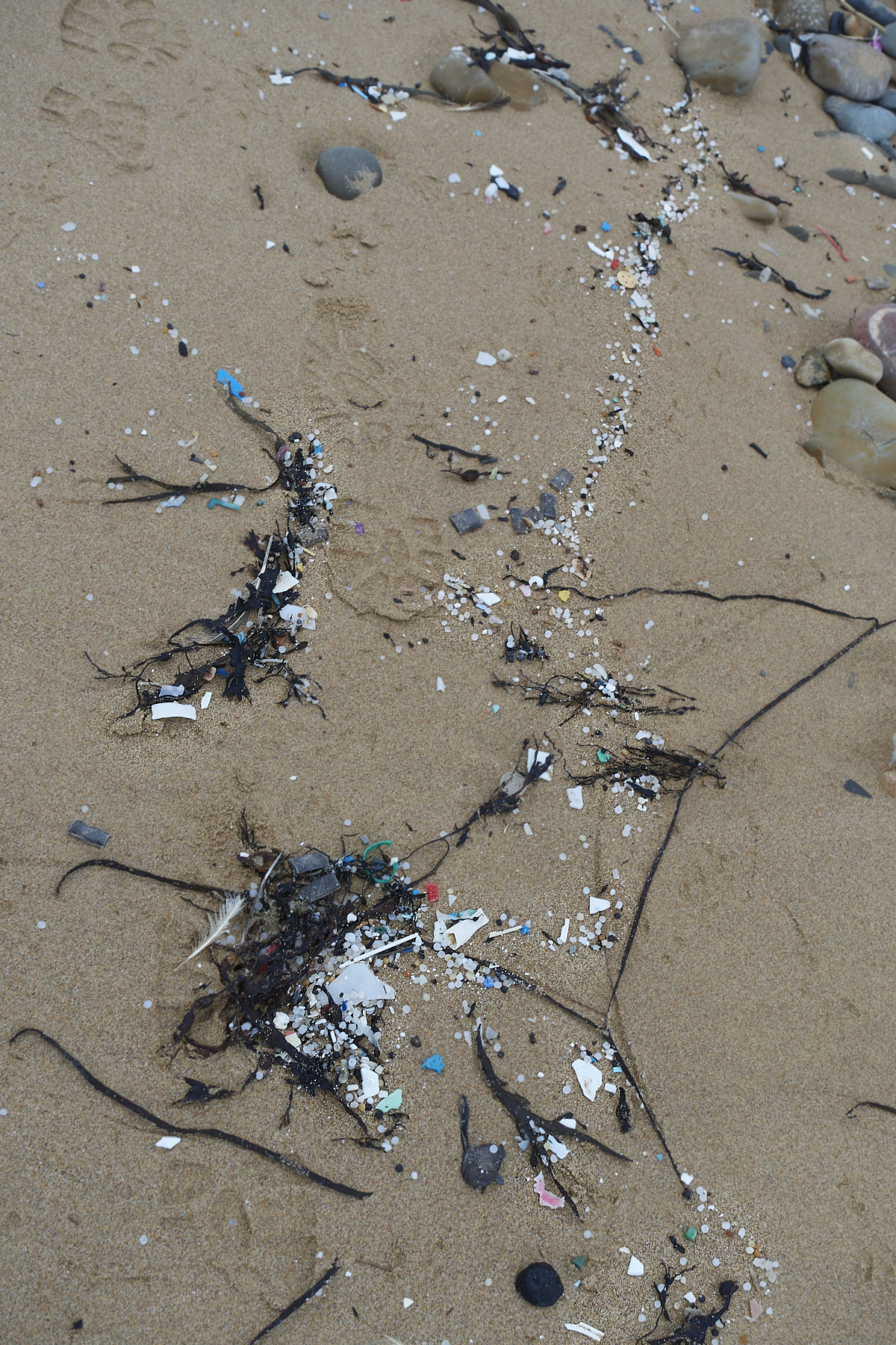 Bretagne 24 01 12 382