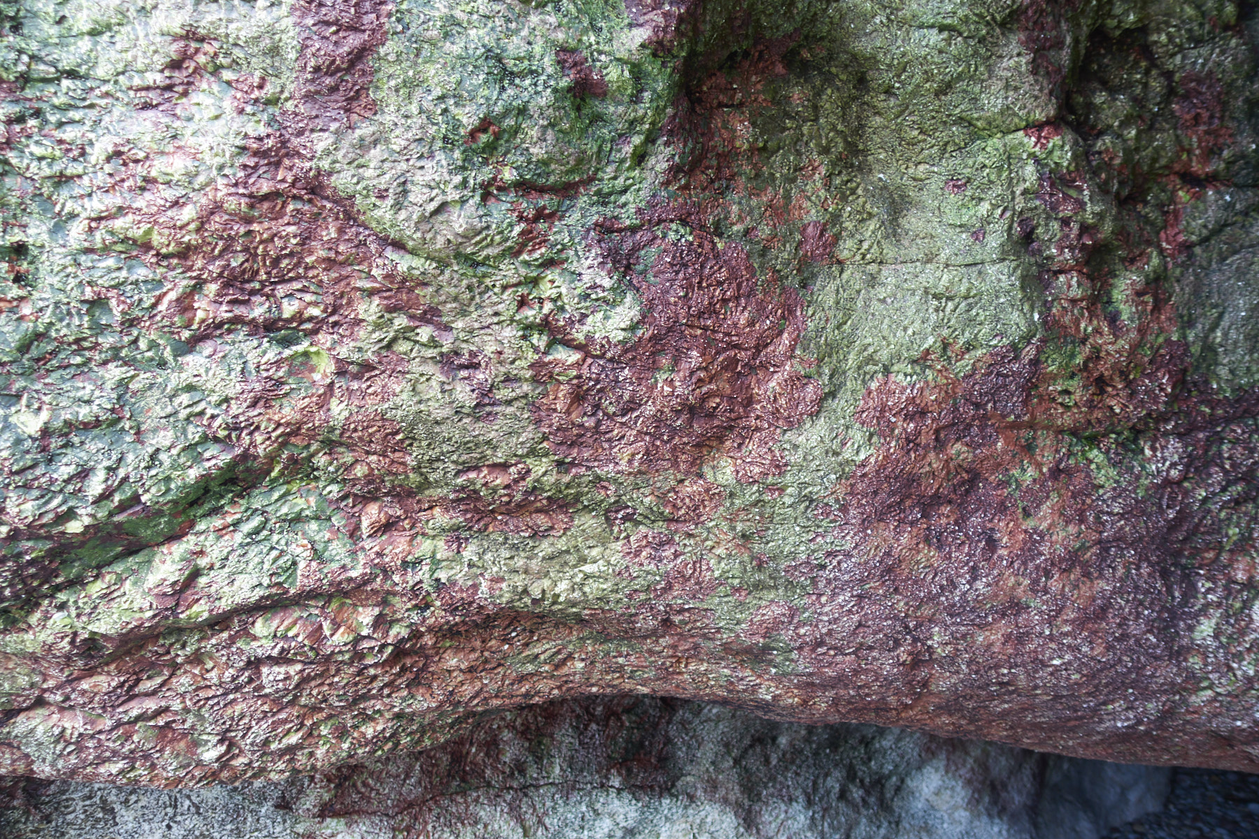 Bretagne 24 01 15 457