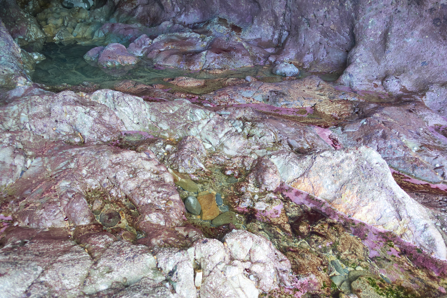 Bretagne 24 01 15 459