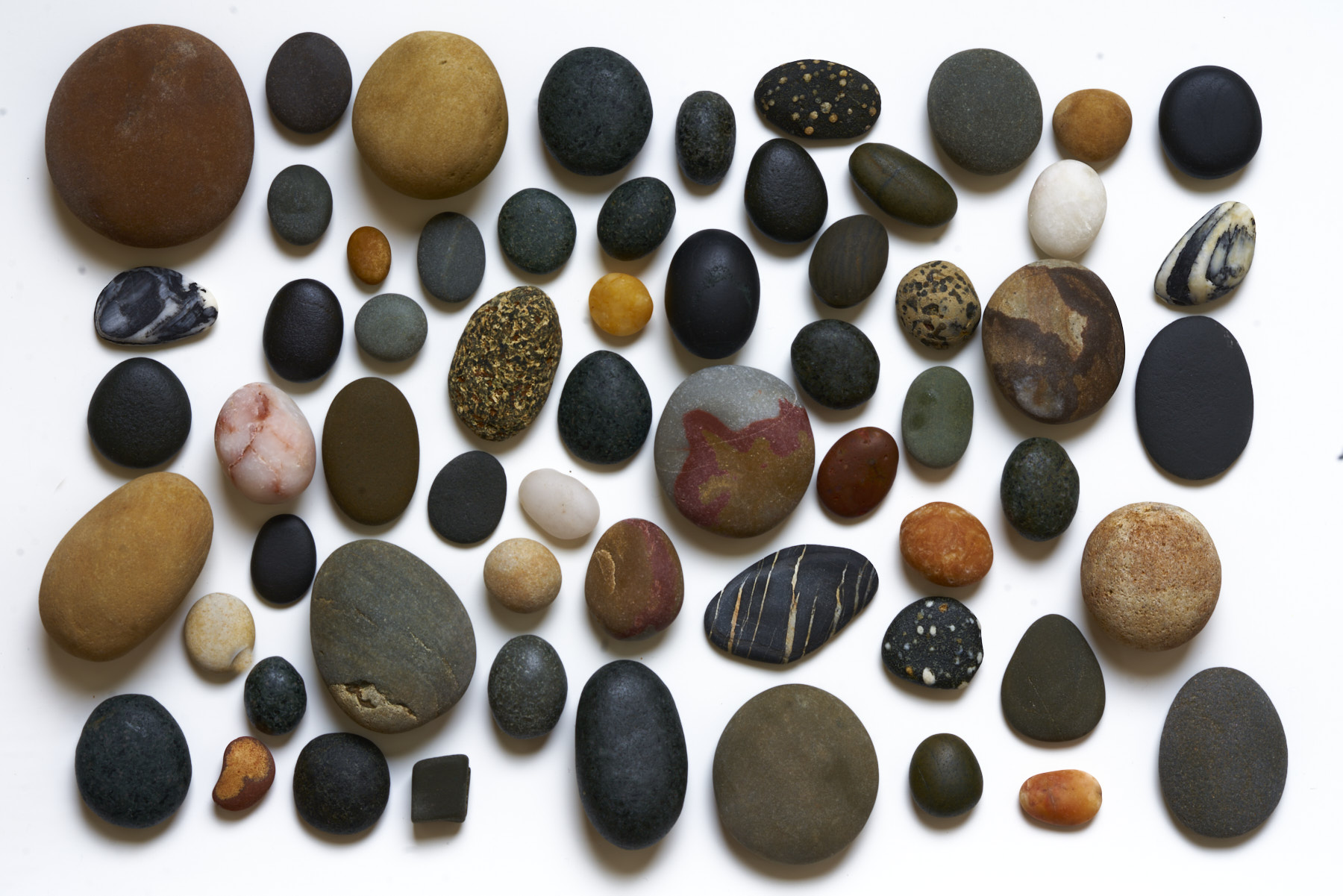 Bretagne 24 01 17 456