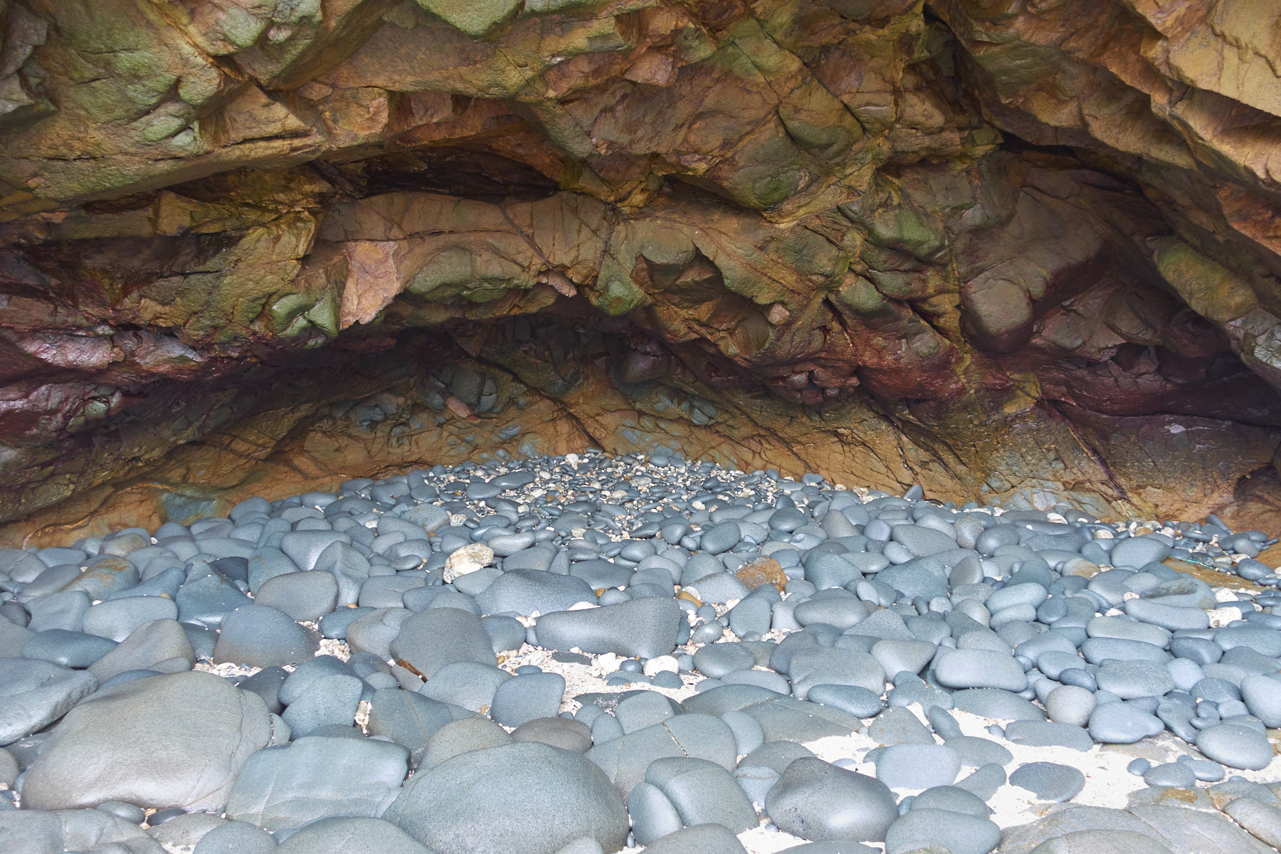 Bretagne 24 01 25 463