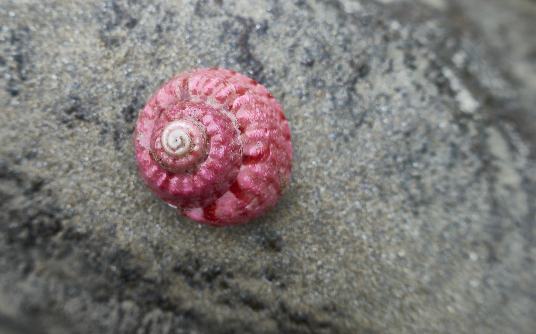 Bretagne 24 01 25 466