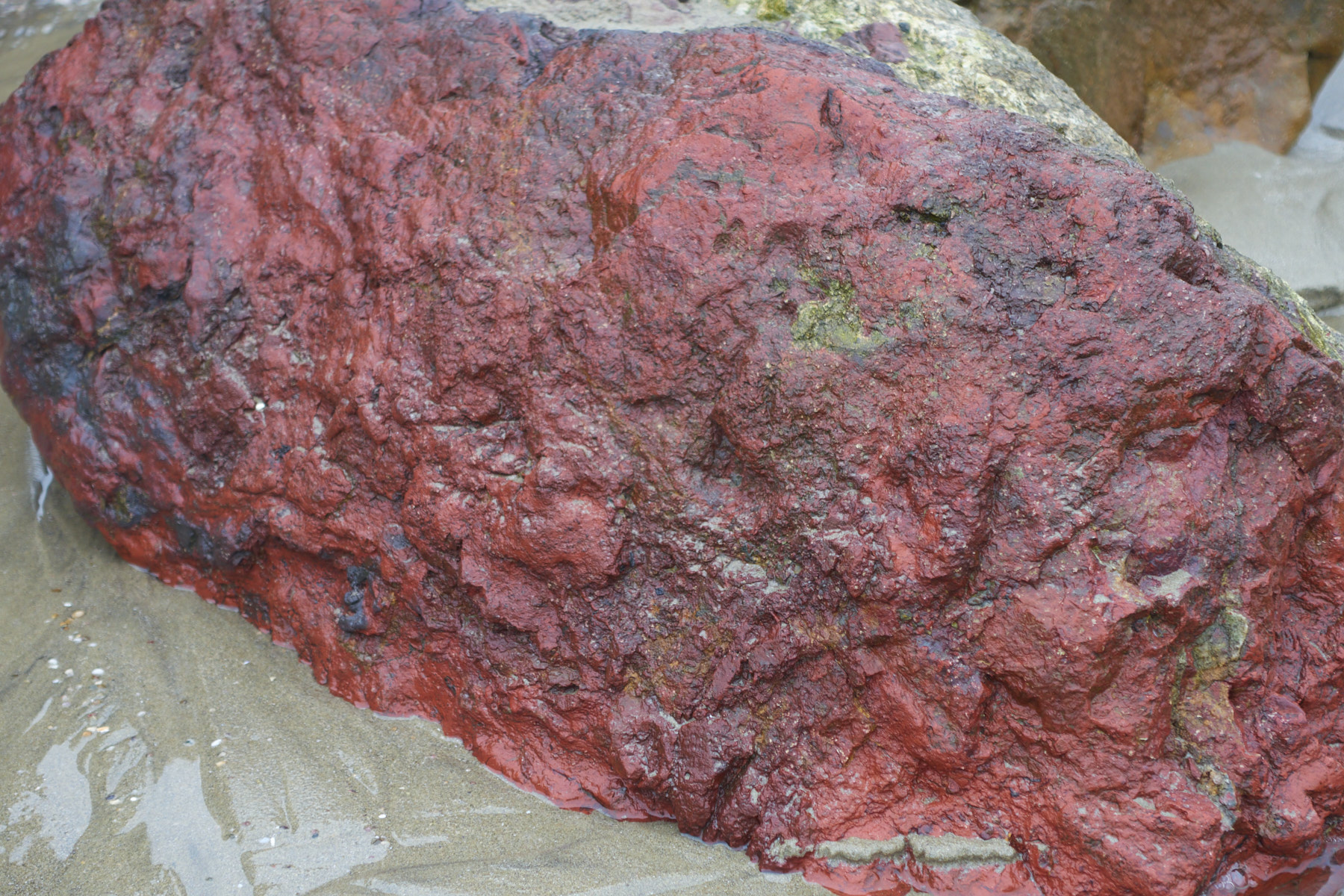 Bretagne 24 01 25 469