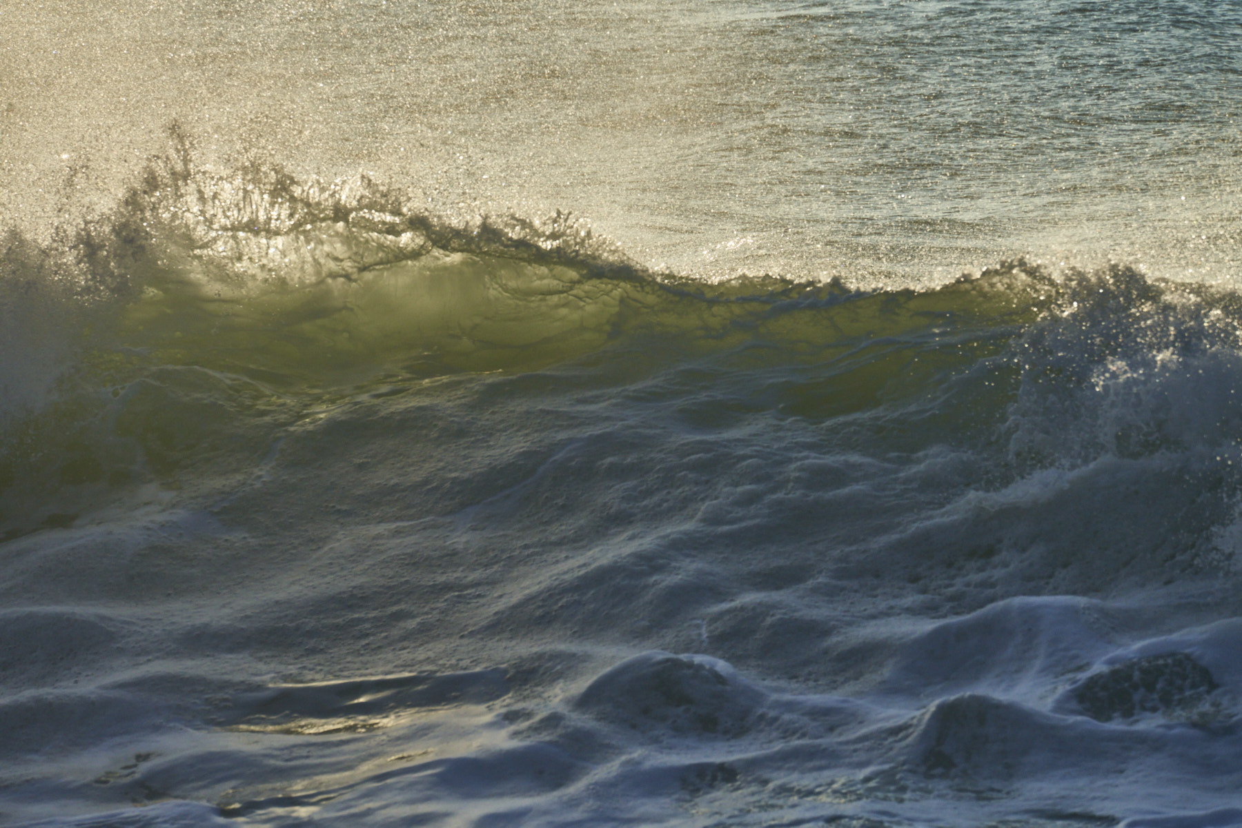 Bretagne 24 01 11 357