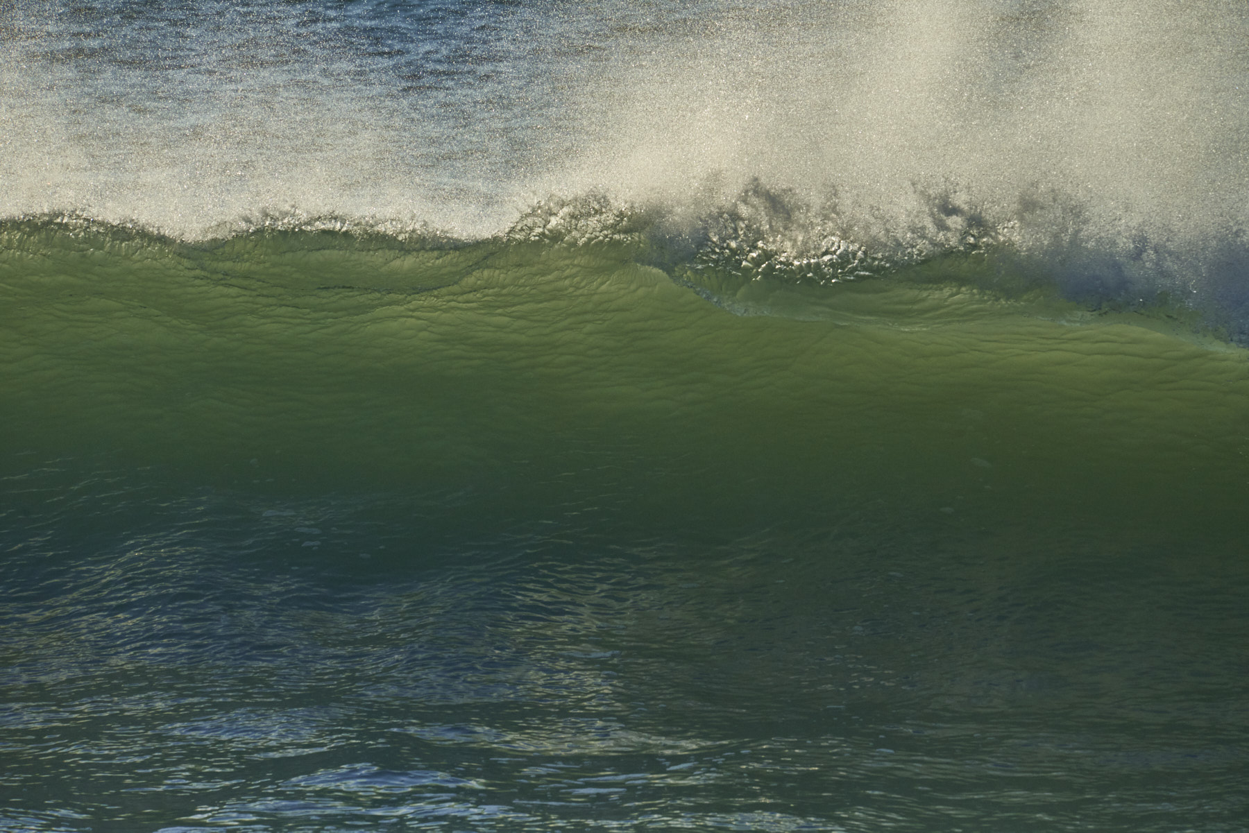 Bretagne 24 01 11 358