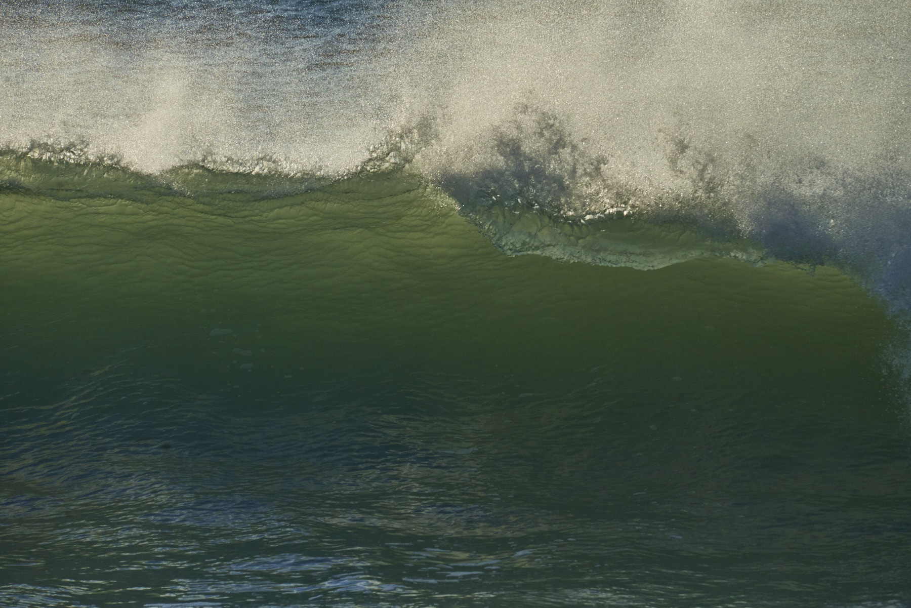 Bretagne 24 01 11 359