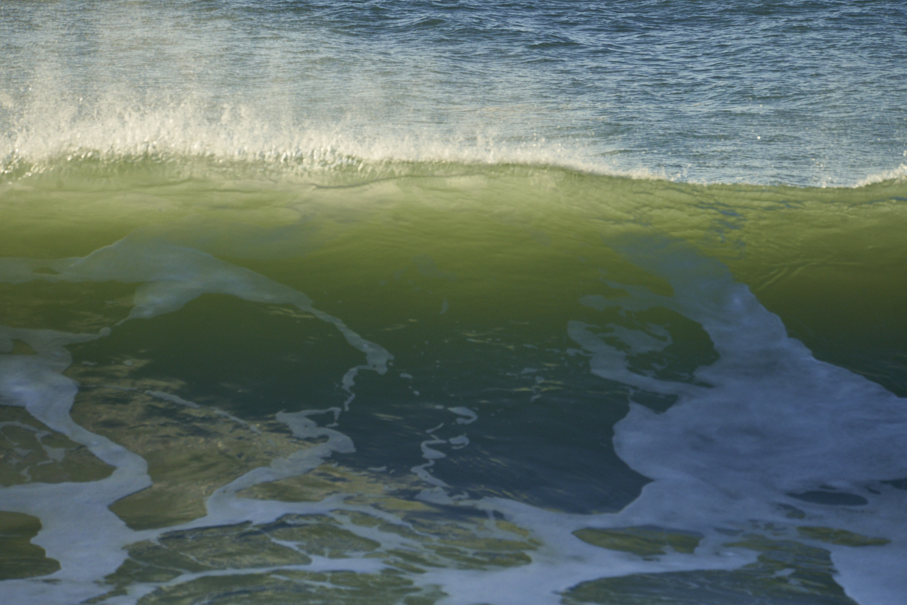 Bretagne 24 01 11 360